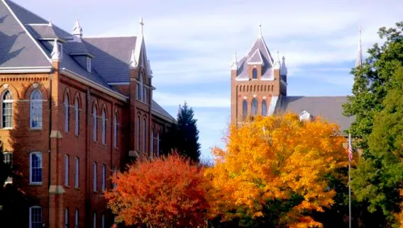 What Is a Community College? A Complete Guide for Students in the U.S. & Abroad